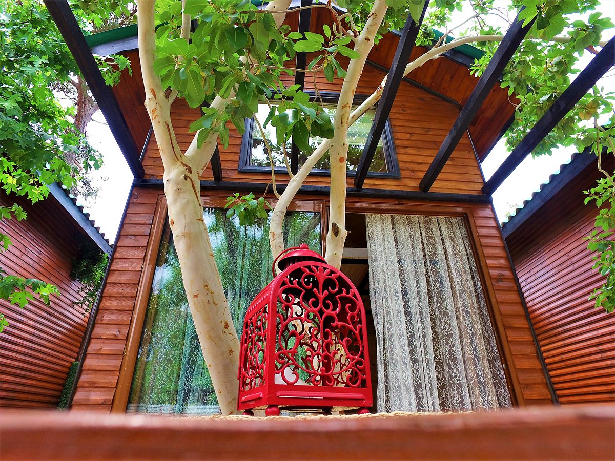 Duplex Bungalow: A-frame timber bungalow with a red lantern