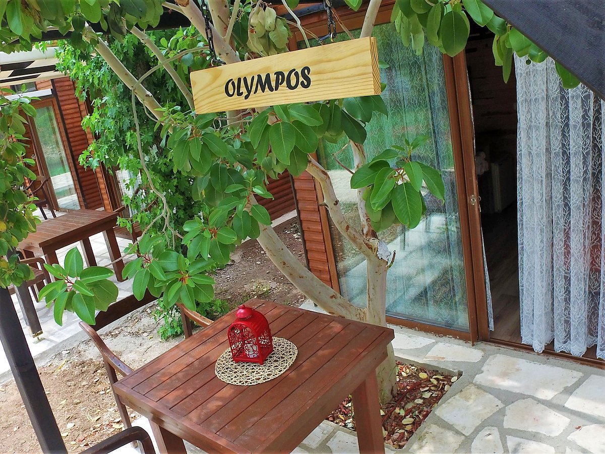 Duplex Bungalow: terrace table under the vines