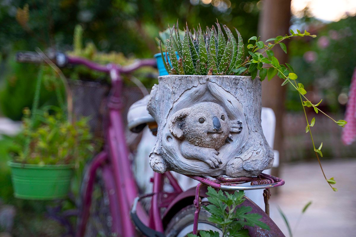 A koala-shaped planter on a bicycle in the garden