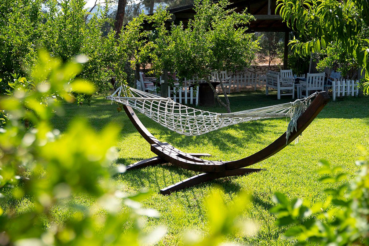 A hammock in the shade of the trees in the lush garden