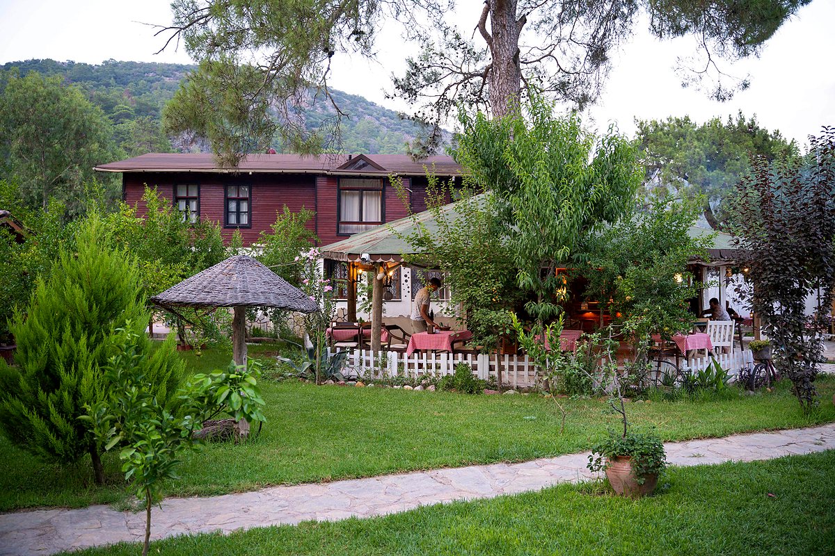Olympos Koala Bungalow'un çam ve nar ağaçlarıyla çevrili bahçesi ve ahşap bungalovları