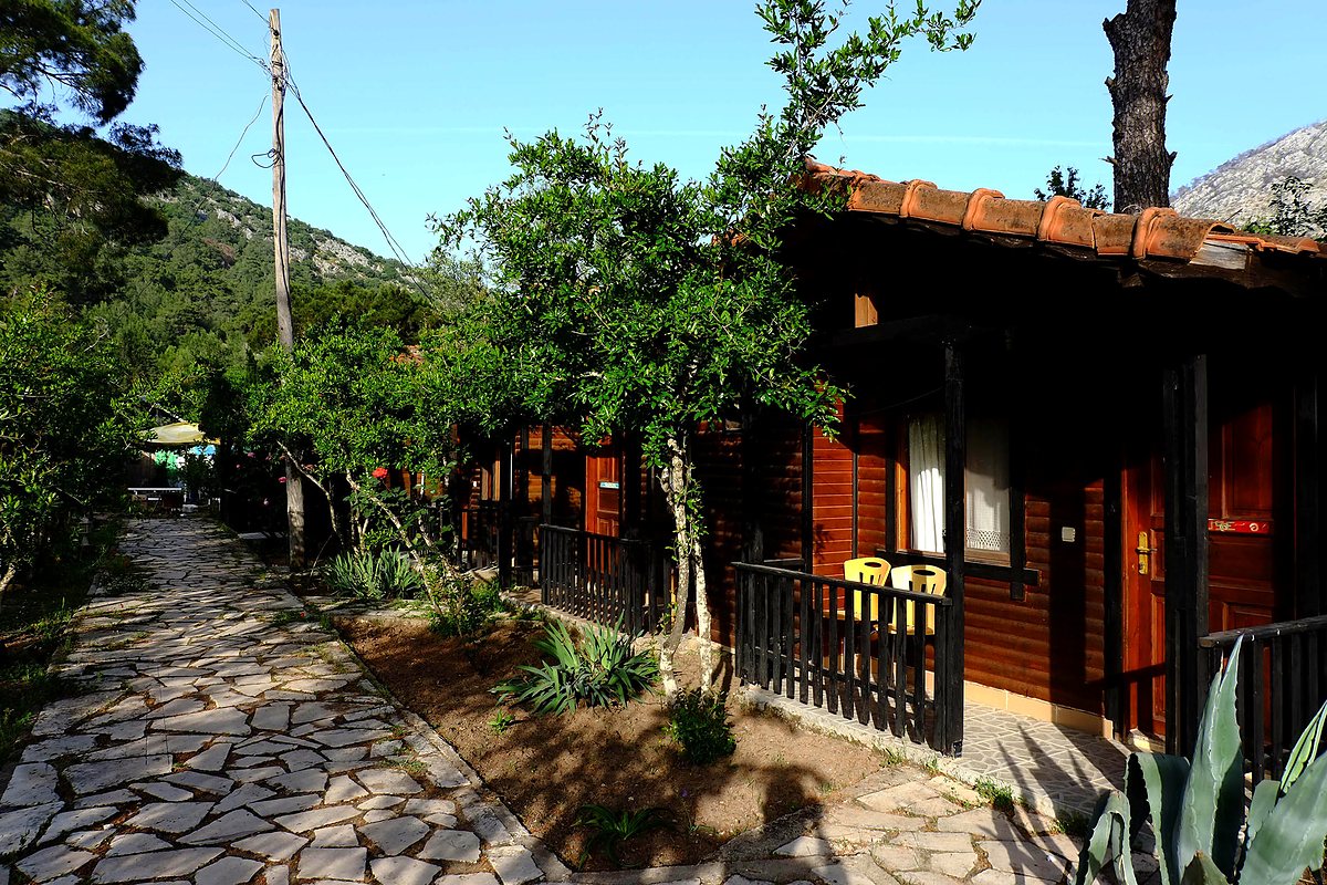 Timber bungalows lining a stone path through the garden